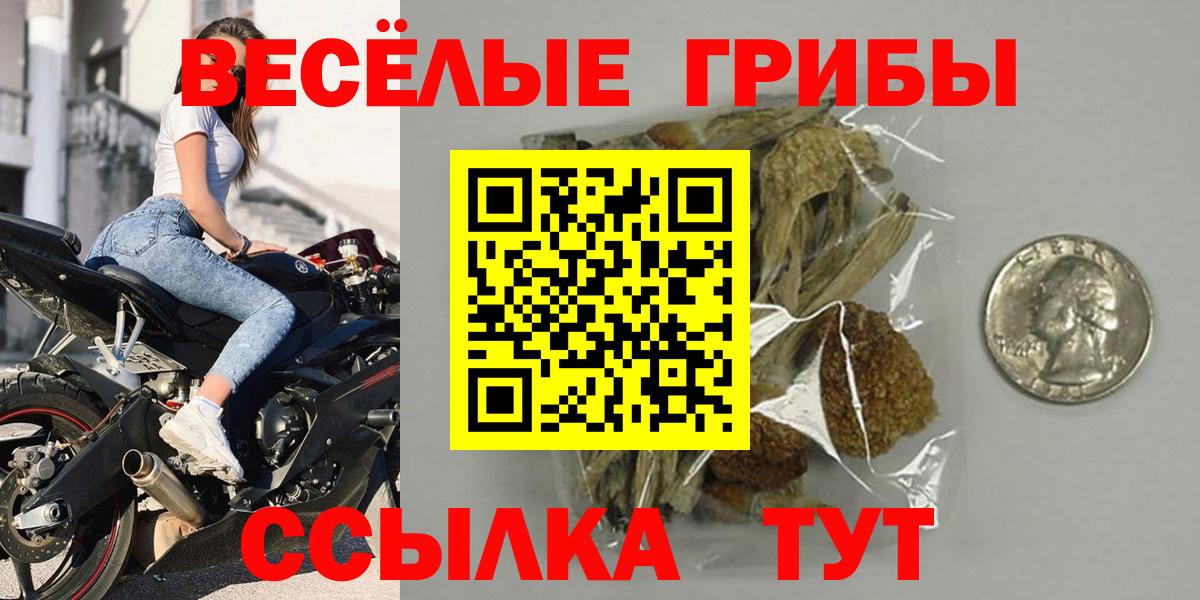 Псилоцибиновые грибы GOLDEN TEACHER Новоалександровск
