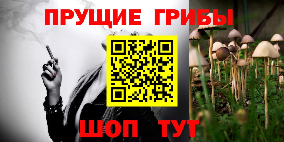сколько стоит  Вход с VPN  Новоалександровск  Галлюциногенные грибы прущие грибы 
